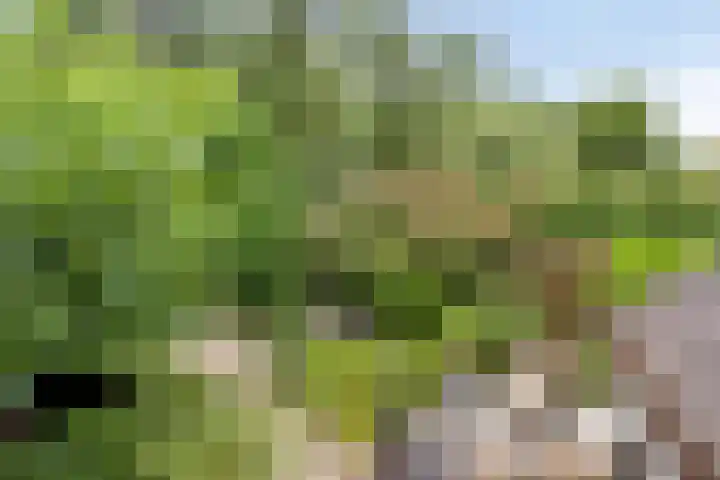 Heufkensweg 5 A Uden thumbnail 55