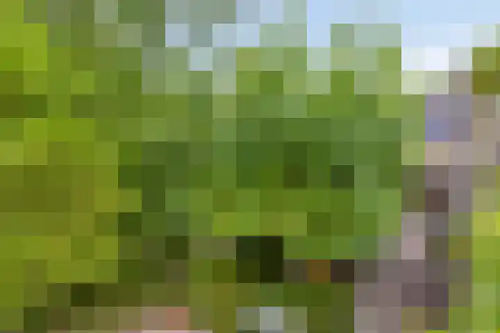 Heufkensweg 5 A Uden thumbnail 58