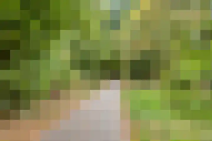 Heufkensweg 5 A Uden thumbnail 59