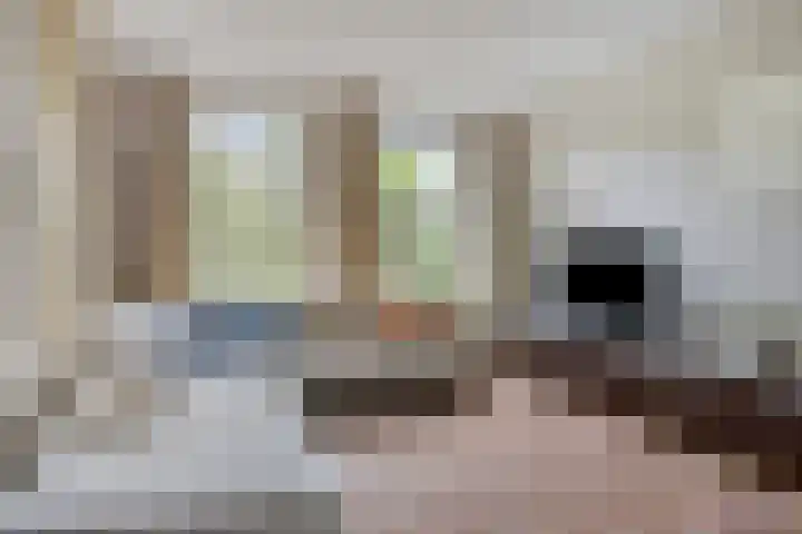 Heufkensweg 5 A Uden thumbnail 8