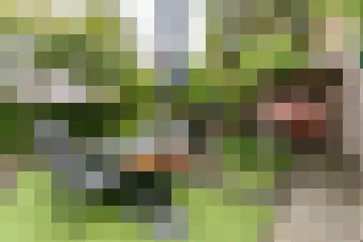Heufkestraat 180 Brunssum thumbnail 22