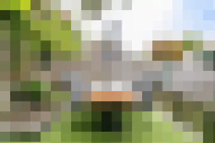 Heufkestraat 180 Brunssum thumbnail 25