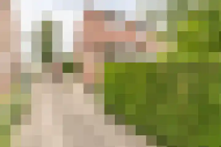 Heufkestraat 180 Brunssum thumbnail 33
