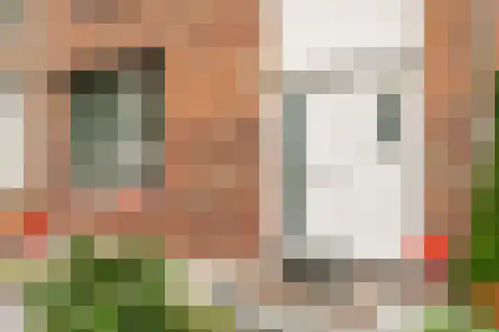Heufkestraat 180 Brunssum thumbnail 34