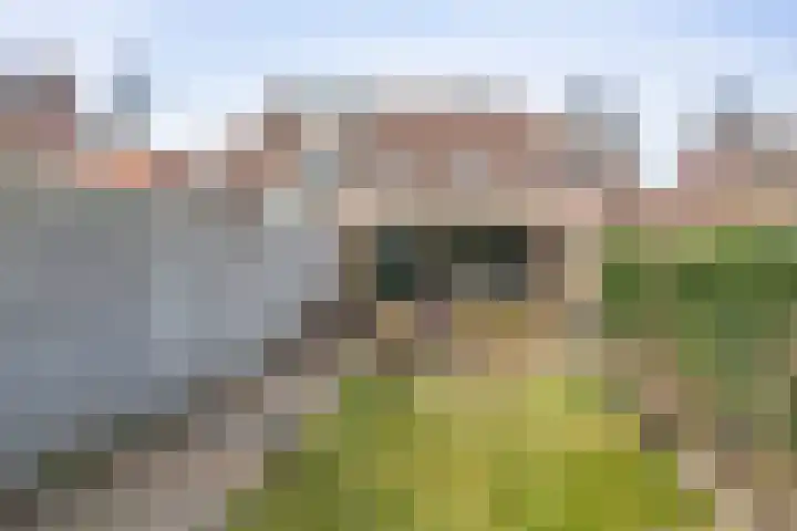 Heufkestraat 41 Brunssum thumbnail 23