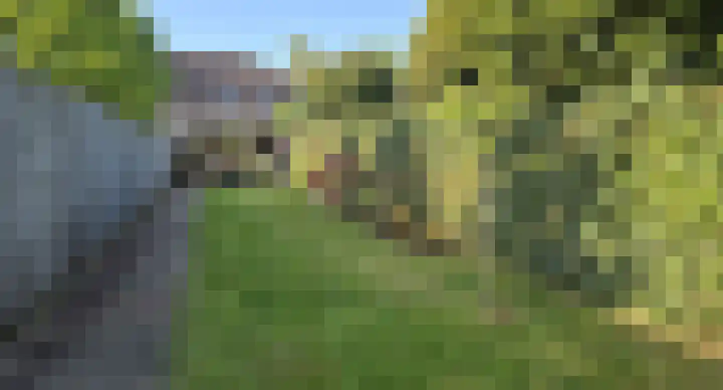 Heufkestraat 41 Brunssum thumbnail 25