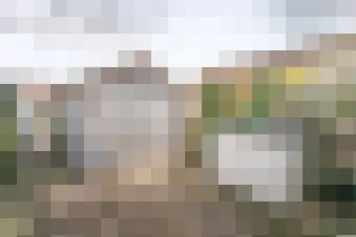 Heufkestraat 41 Brunssum thumbnail 28
