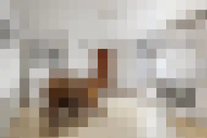 Heugemer Kerkstraat 13 Maastricht thumbnail 8