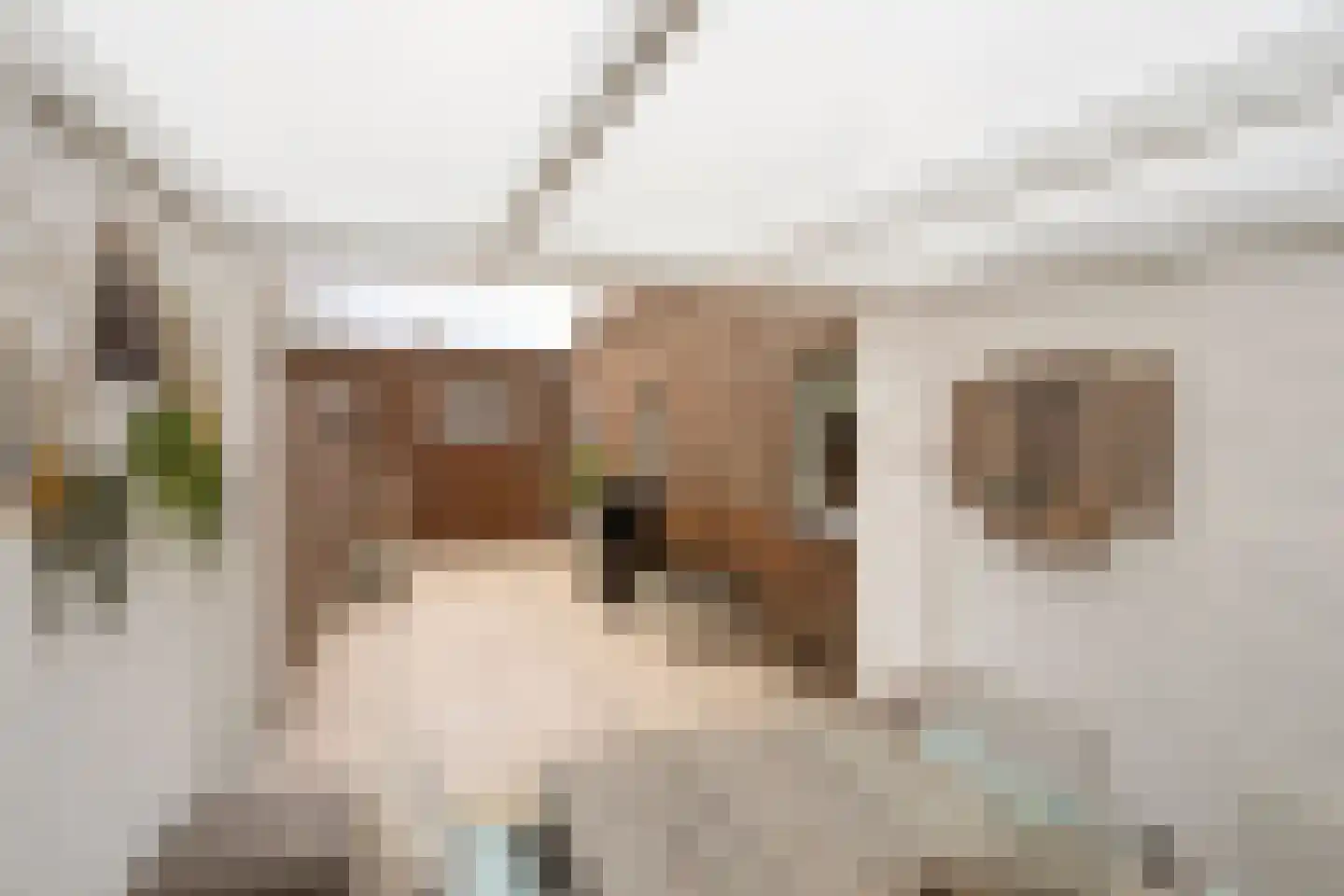 Heugemer Kerkstraat 9 Maastricht thumbnail 36