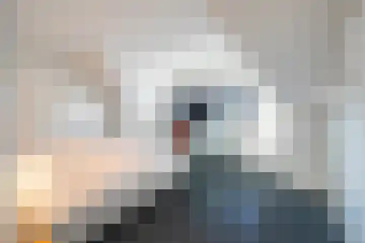 Heugemerweg 3 Maastricht thumbnail 22