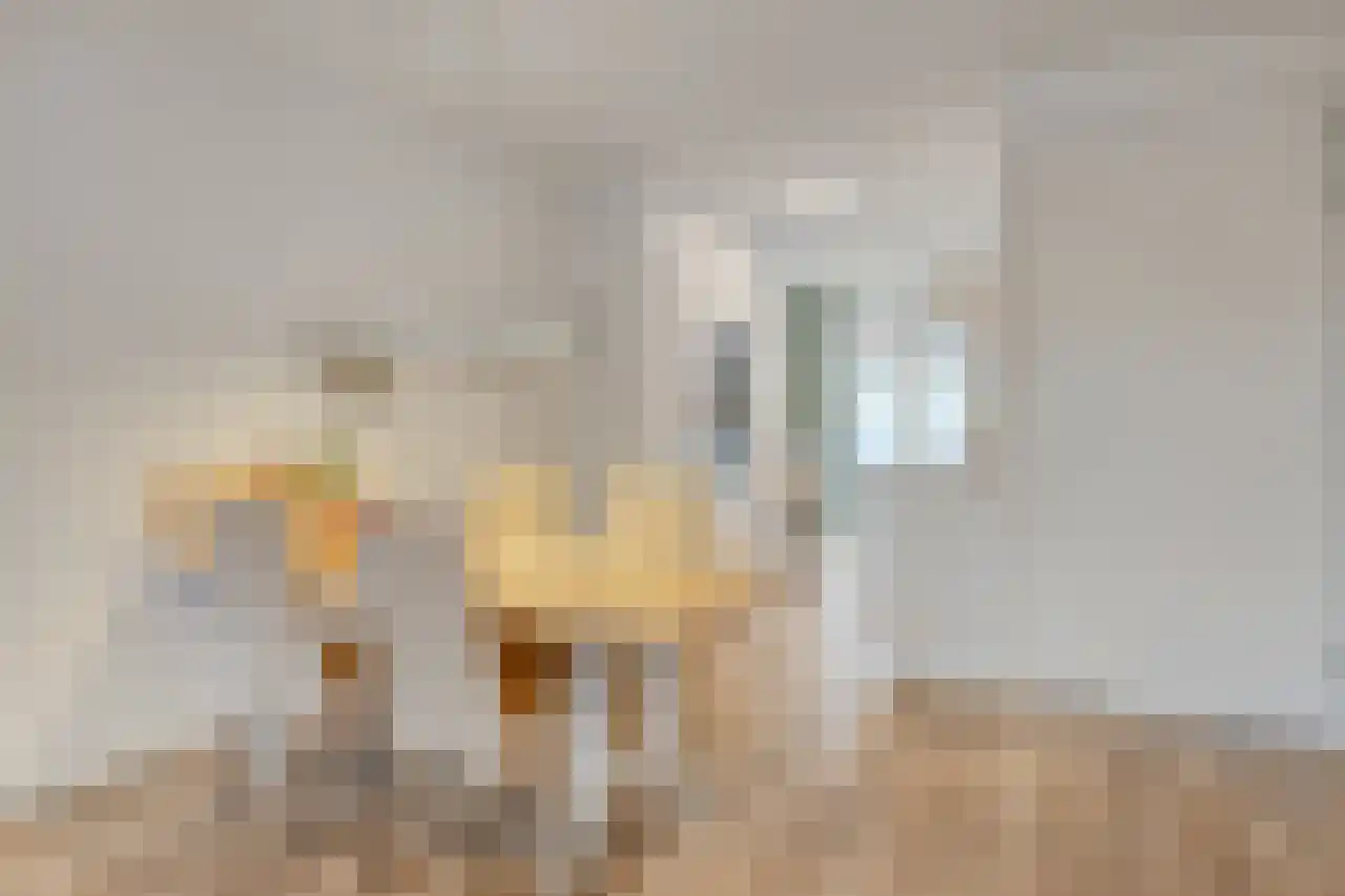 Heugemerweg 77 Maastricht thumbnail 4