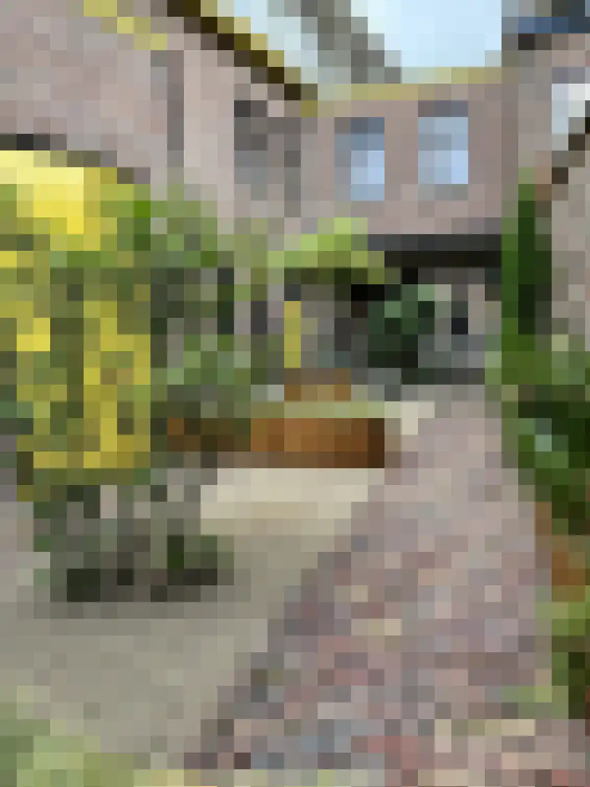 Heugemerweg Maastricht thumbnail 5