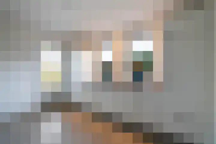 Heugterbroekdijk 10 Weert thumbnail 34