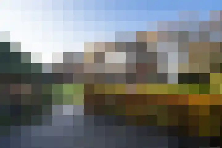 Heugterbroekdijk 10 Weert thumbnail 5