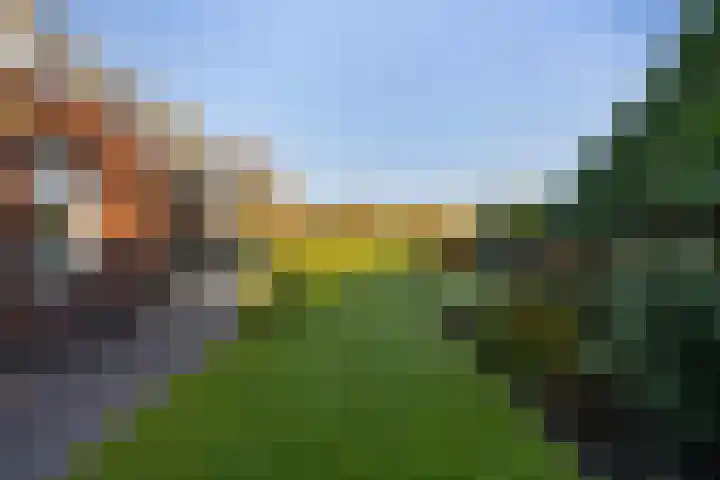 Heugterbroekdijk 10 Weert thumbnail 56