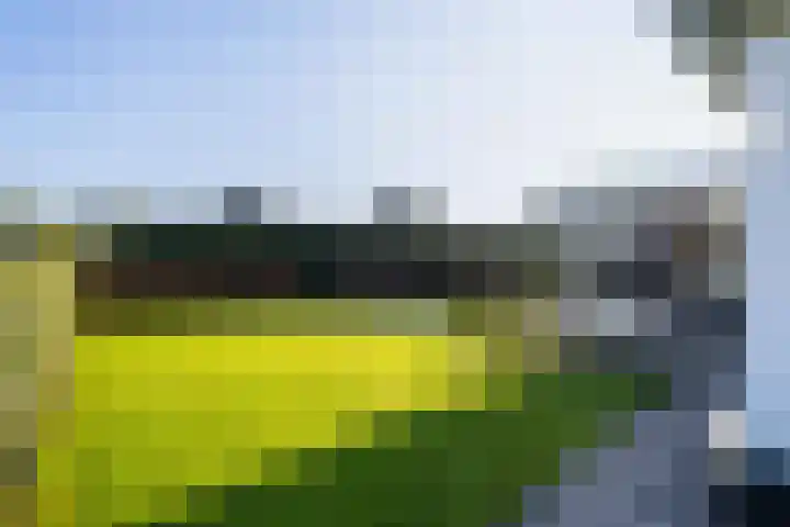 Heugterbroekdijk 10 Weert thumbnail 58