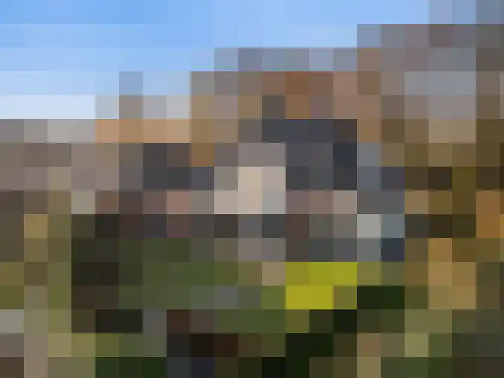 Heugterbroekdijk 10 Weert thumbnail 6