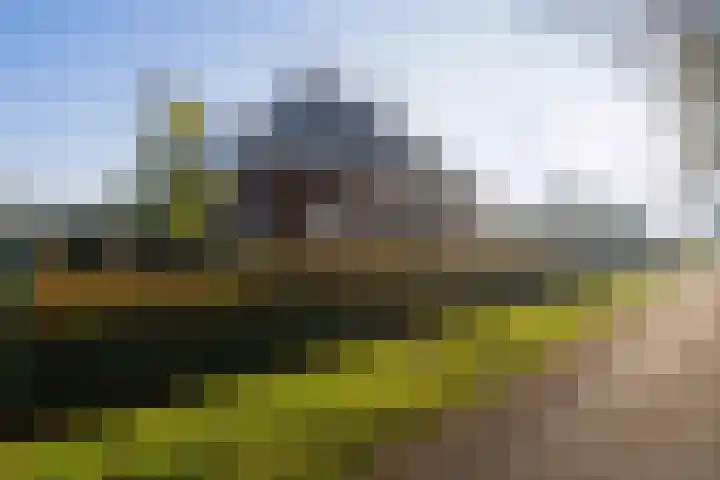 Heugterbroekdijk 10 Weert thumbnail 7