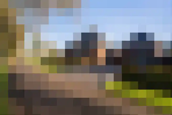 Heugterbroekdijk 10 Weert thumbnail 8