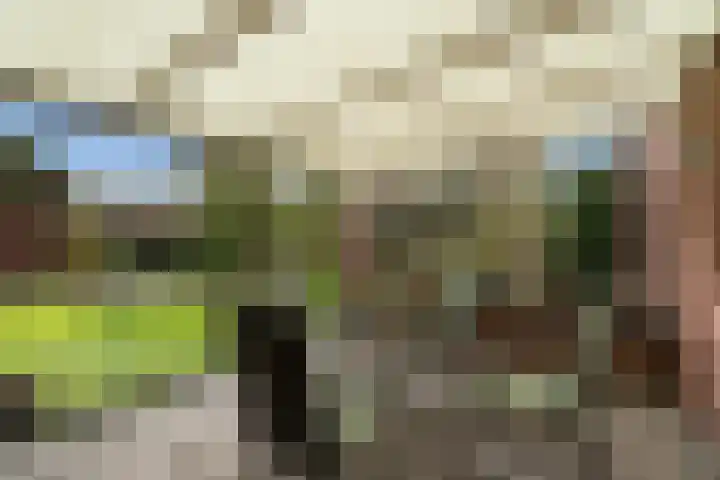 Heugterbroekdijk 15 Weert thumbnail 42
