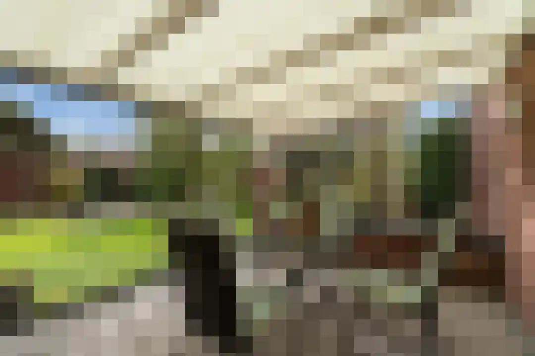 Heugterbroekdijk 15 Weert thumbnail 42