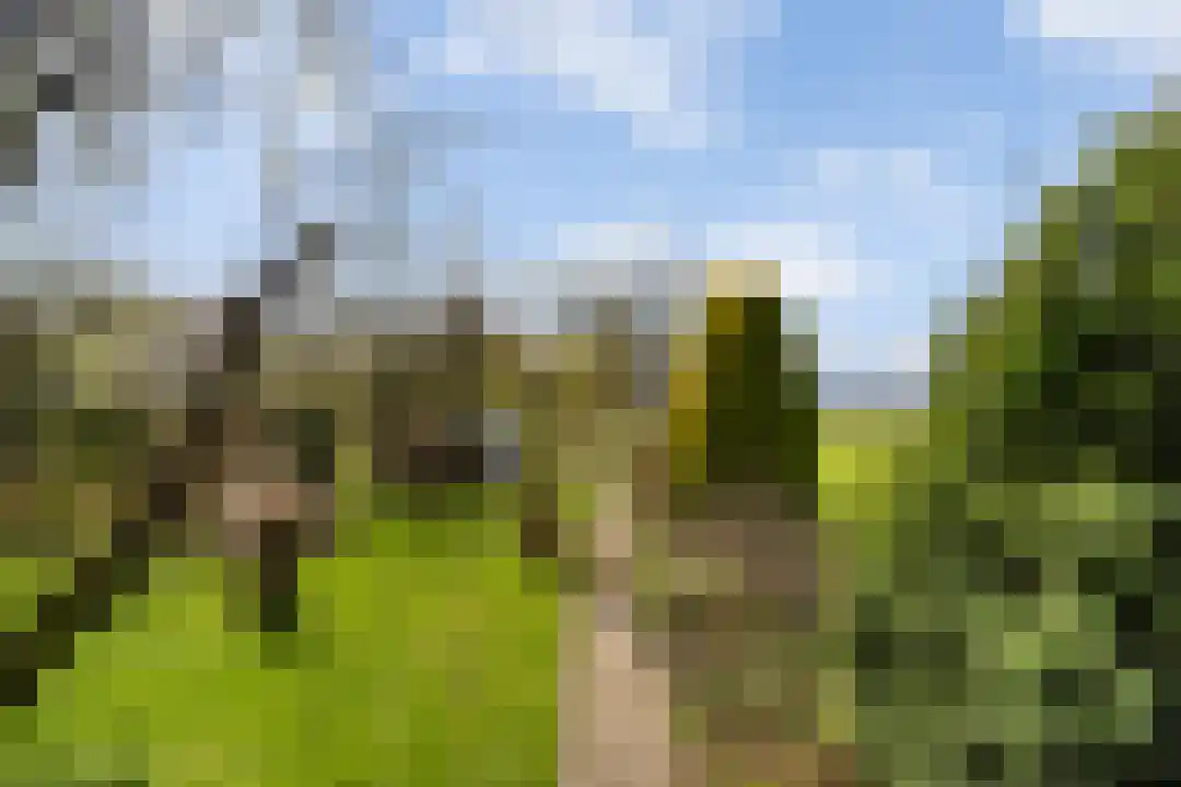 Heugterbroekdijk 15 Weert thumbnail 44