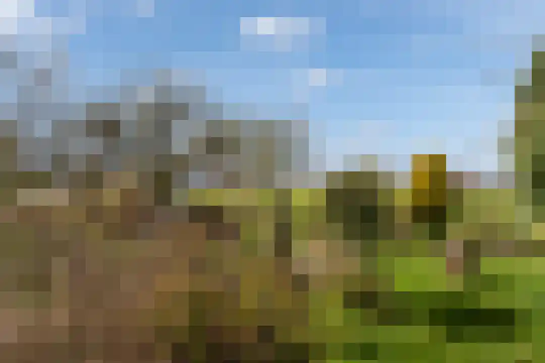 Heugterbroekdijk 15 Weert thumbnail 45