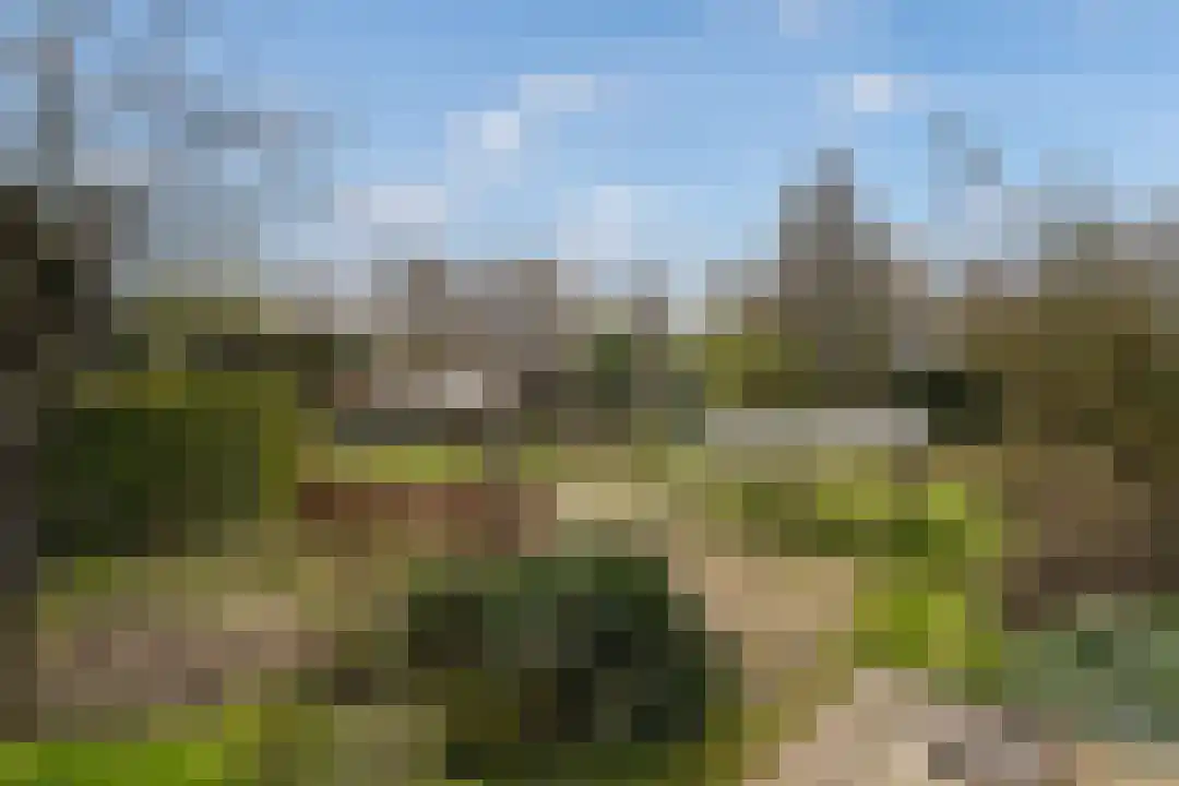 Heugterbroekdijk 15 Weert thumbnail 46