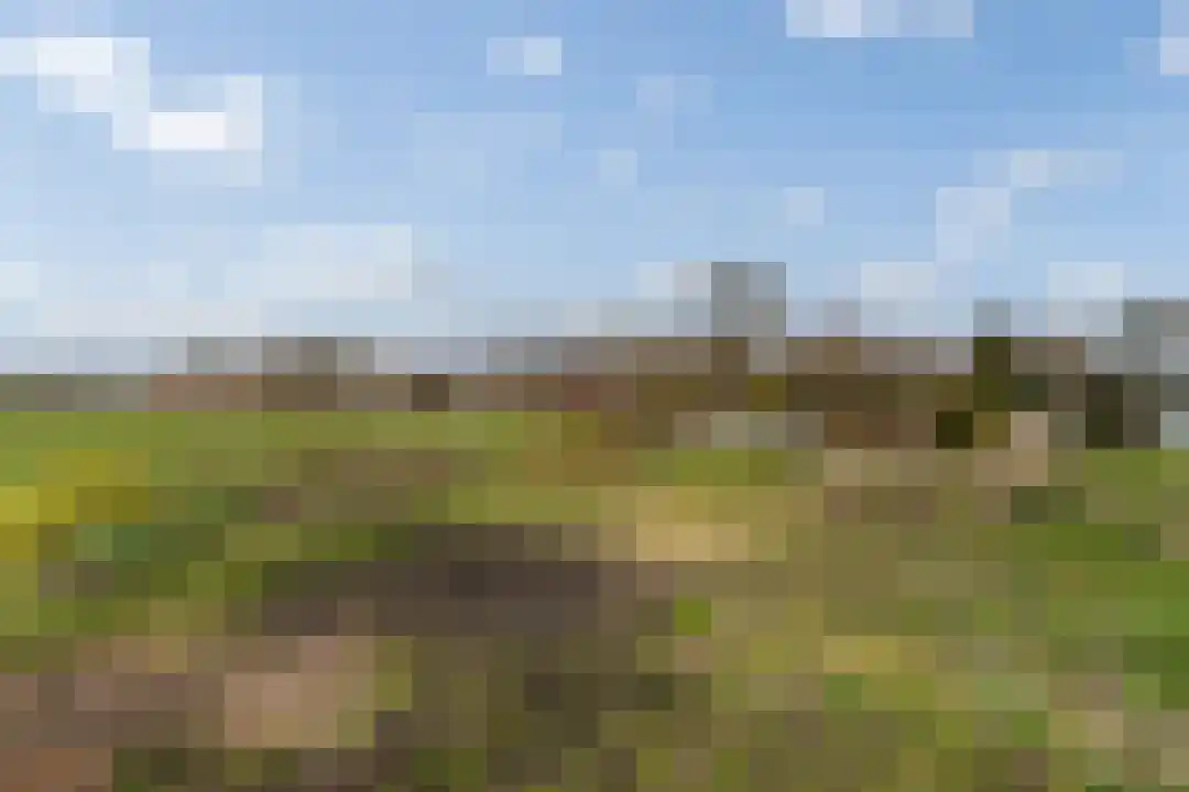 Heugterbroekdijk 15 Weert thumbnail 47