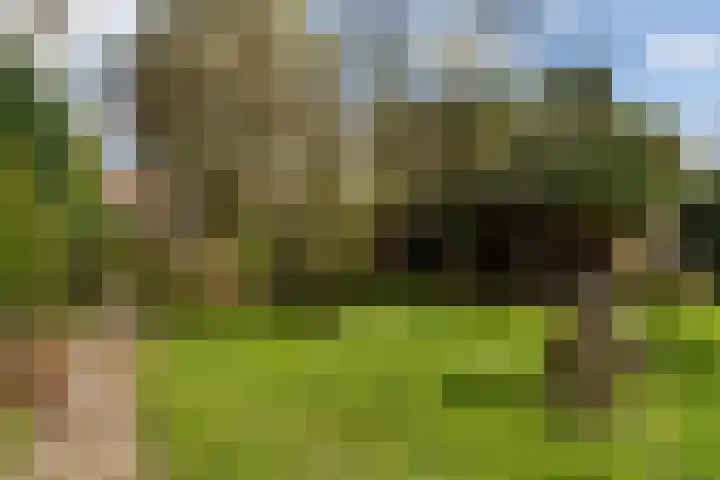 Heugterbroekdijk 15 Weert thumbnail 49