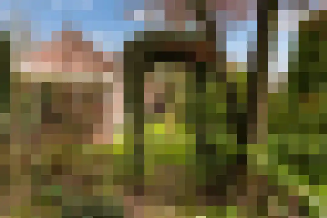 Heugterbroekdijk 15 Weert thumbnail 50