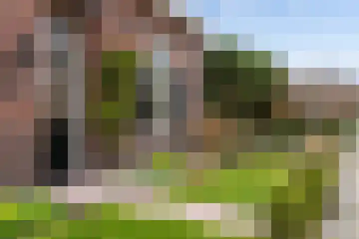 Heugterbroekdijk 15 Weert thumbnail 8