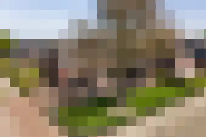 Heugterbroekdijk 8 in Weert