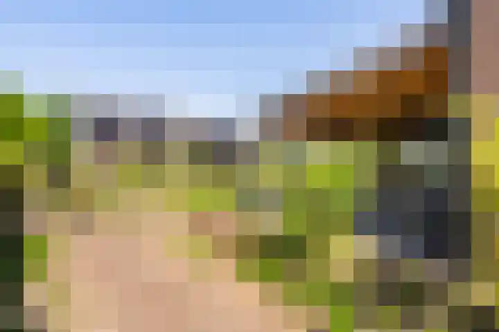 Heugterbroekdijk 8 Weert thumbnail 5