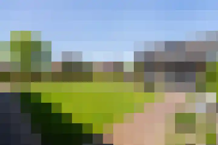 Heugterbroekdijk 8 Weert thumbnail 56