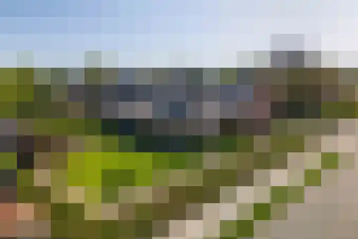 Heugterbroekdijk 8 Weert thumbnail 6