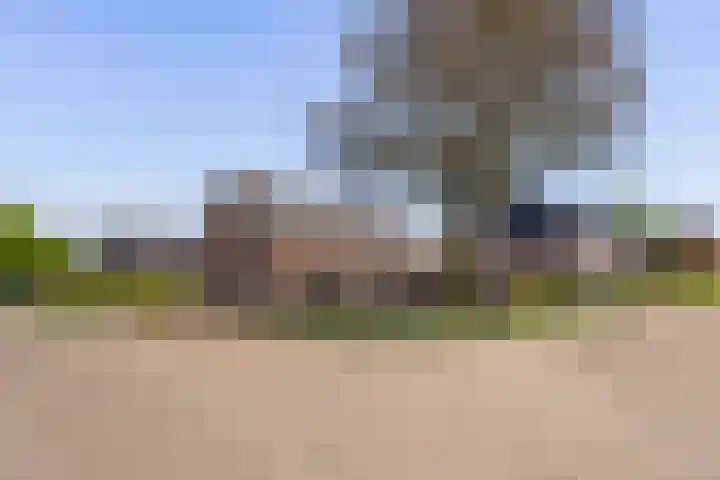 Heugterbroekdijk 8 Weert thumbnail 61