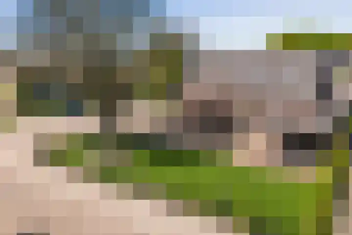 Heugterbroekdijk 8 Weert thumbnail 62