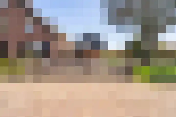 Heugterbroekdijk 8 Weert thumbnail 7