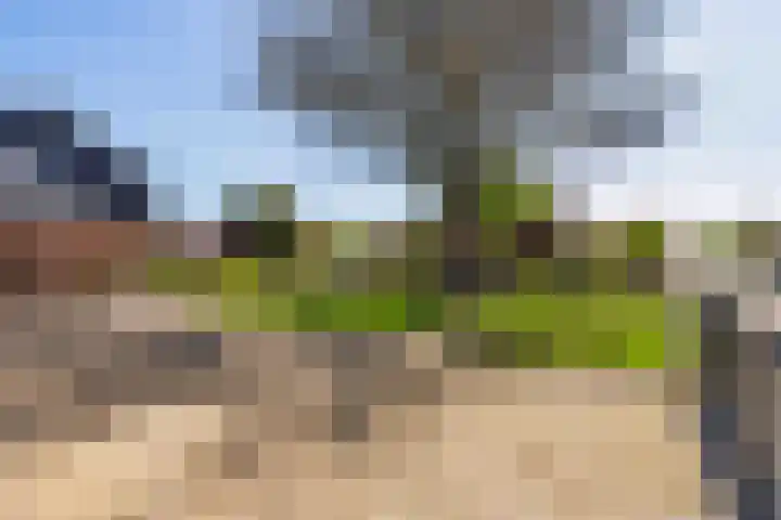 Heugterbroekdijk 8 Weert thumbnail 8