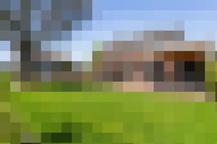 Heugterbroekdijk 8 Weert thumbnail 9