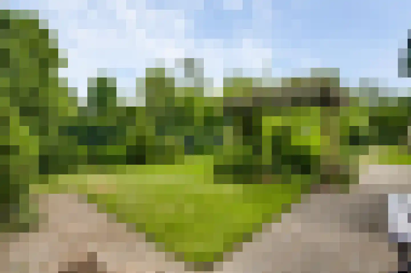 Heugterbroekdijk 9 Weert thumbnail 37