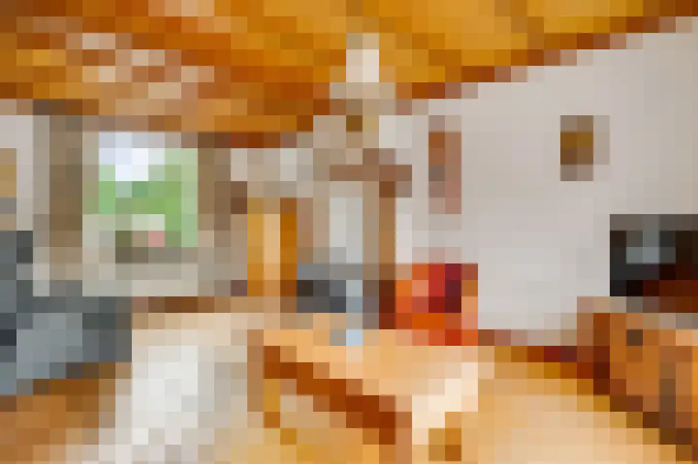 Heugterbroekdijk 9 Weert thumbnail 8