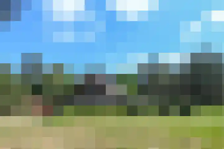 Heugterzijweg 1 Nederweert thumbnail 13