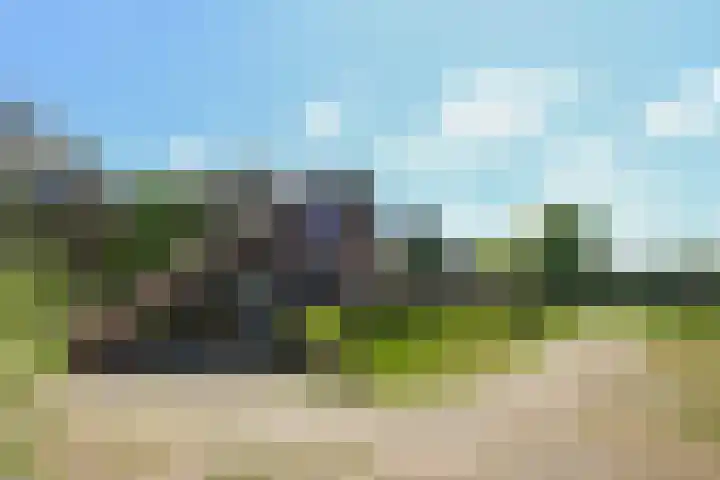 Heugterzijweg 1 Nederweert thumbnail 14