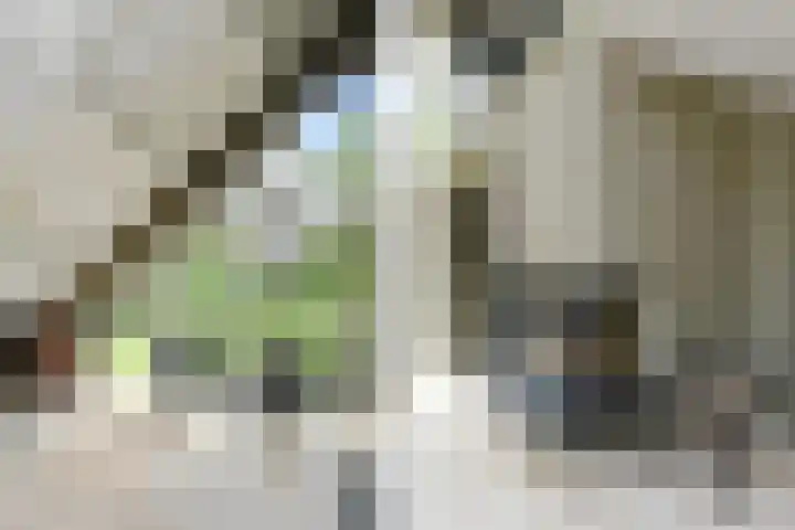 Heugterzijweg 1 Nederweert thumbnail 16