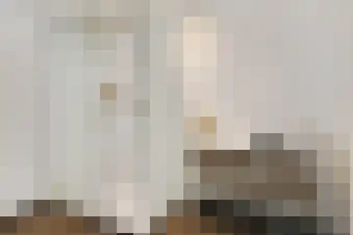 Heugterzijweg 1 Nederweert thumbnail 22