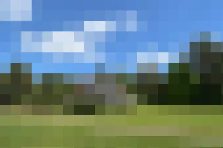 Heugterzijweg 1 Nederweert thumbnail 25