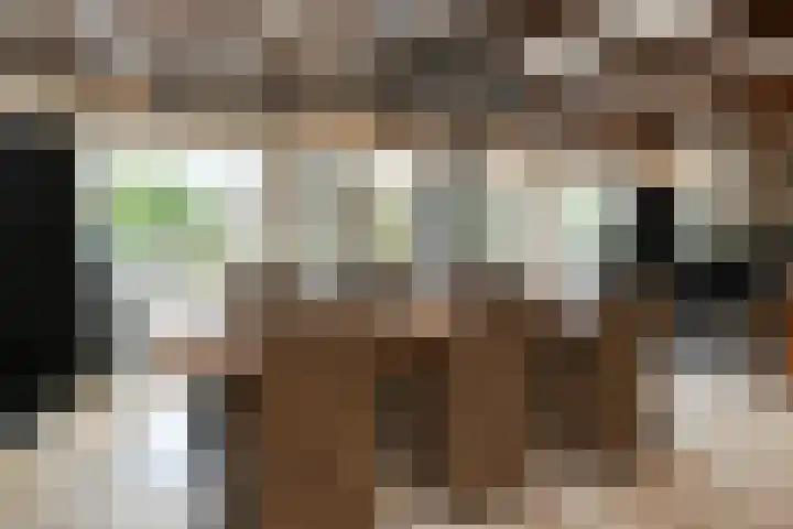 Heugterzijweg 1 Nederweert thumbnail 27