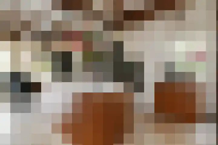 Heugterzijweg 1 Nederweert thumbnail 31